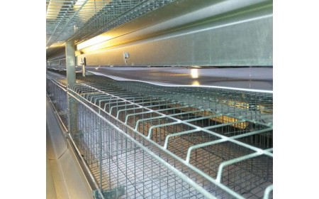 Конвейерные ленты для навоза ПП / ПЭ для птицефабрики